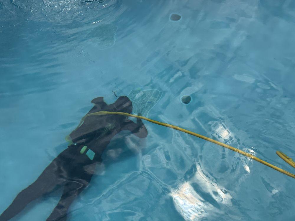 Why Choose Aqua Doctor for Leak Detection